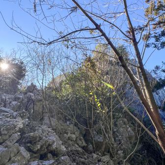 ここを登ると立須の頂上。