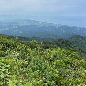 山頂からは日本海が一望👀
直江津方面