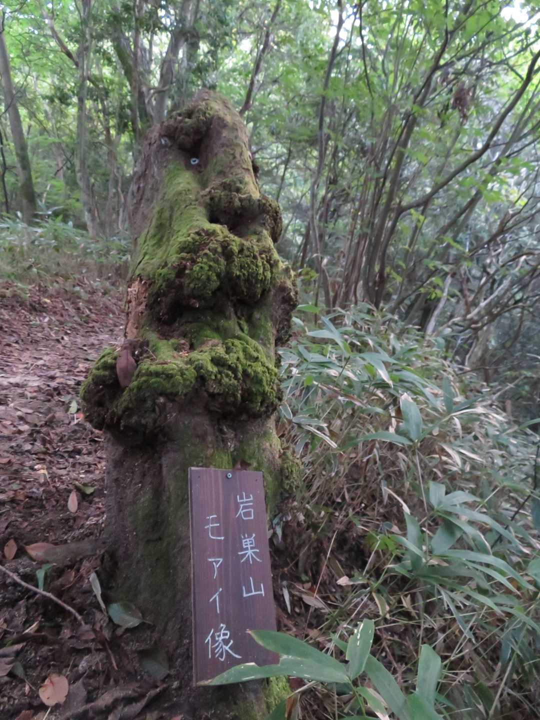モアイ🗿