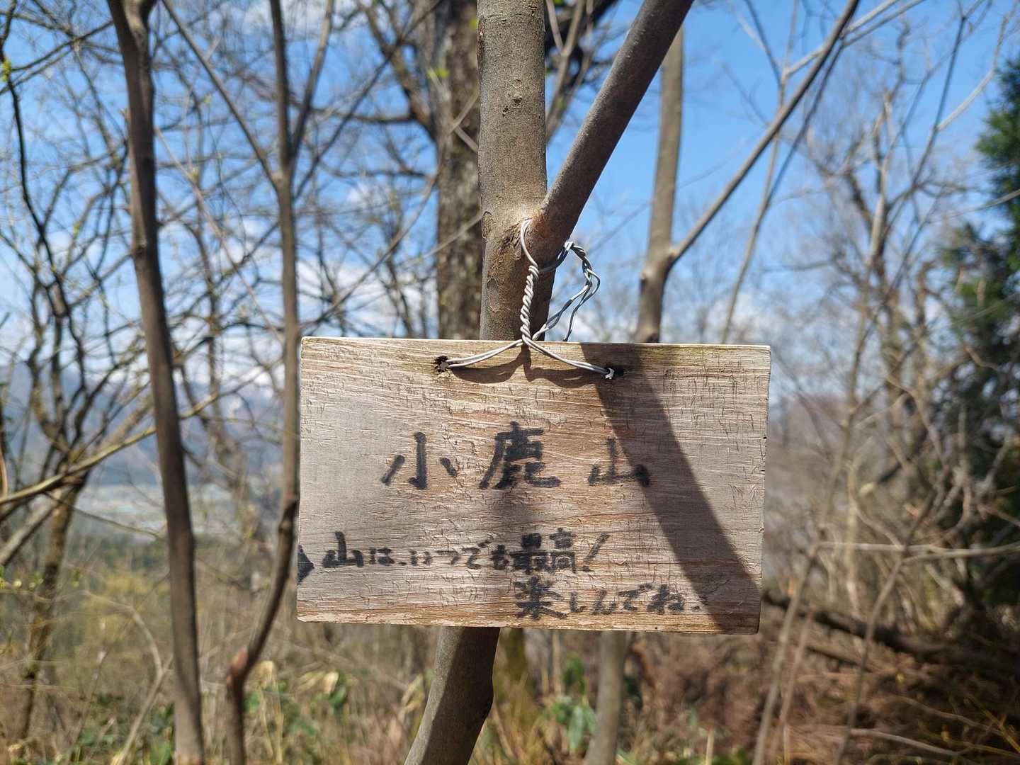 小鹿山🙌
