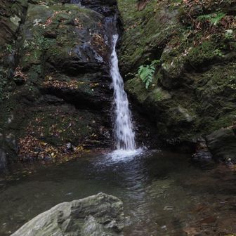 アンの滝近くの渓流
