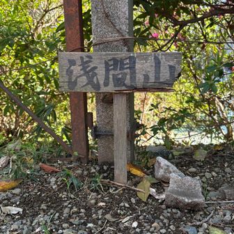 こんなとこにもピークが👀