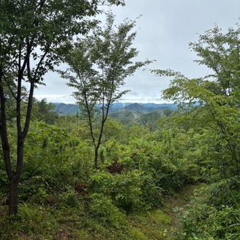 なんなら晴れてきてるし🌤️今日の天気予報見なかったけどずっと雨だと思ってた😅