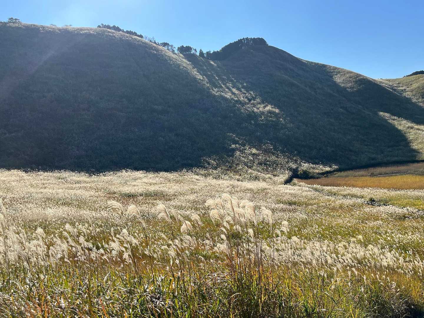 二本ボソ-倶留尊山-亀山 周回コースの写真