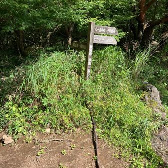 観音平まで降りてきました！