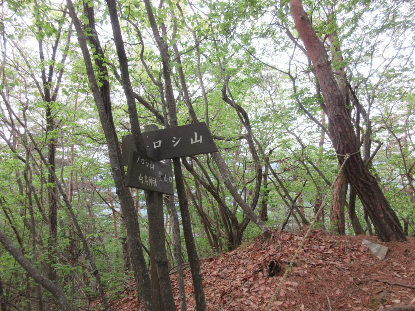 ノロシ山登山口-舞鶴山-ノロシ山 往復コースの写真