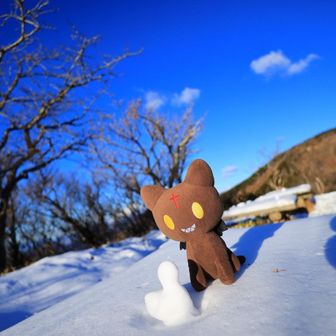 🐱あめのやまねこ🐾ちょmsk