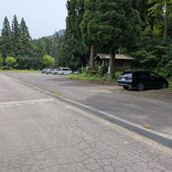 駐車場に到着！
福井県の標高1400〜1600mの山の中では、花の種類が格段に多い山でした。