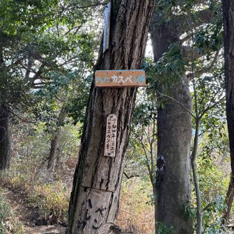 これが噂のハルカスベンチ！