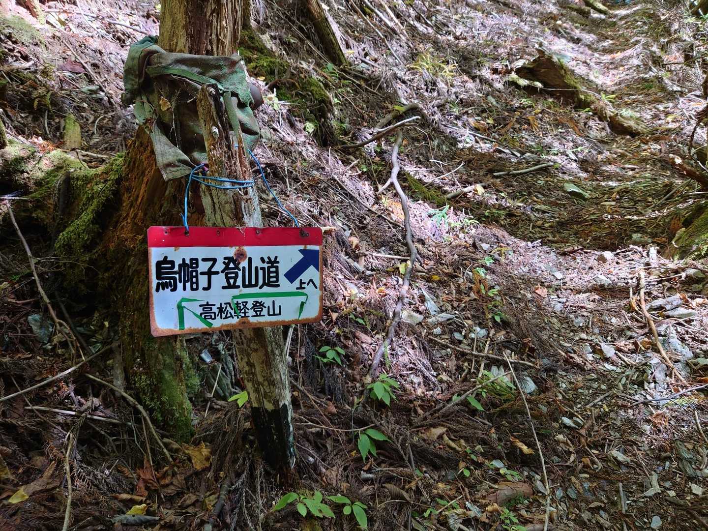 そして登山口に到着
私達はここから落合峠まで登り返します
うんうんペース早いよ
いい感じ😃