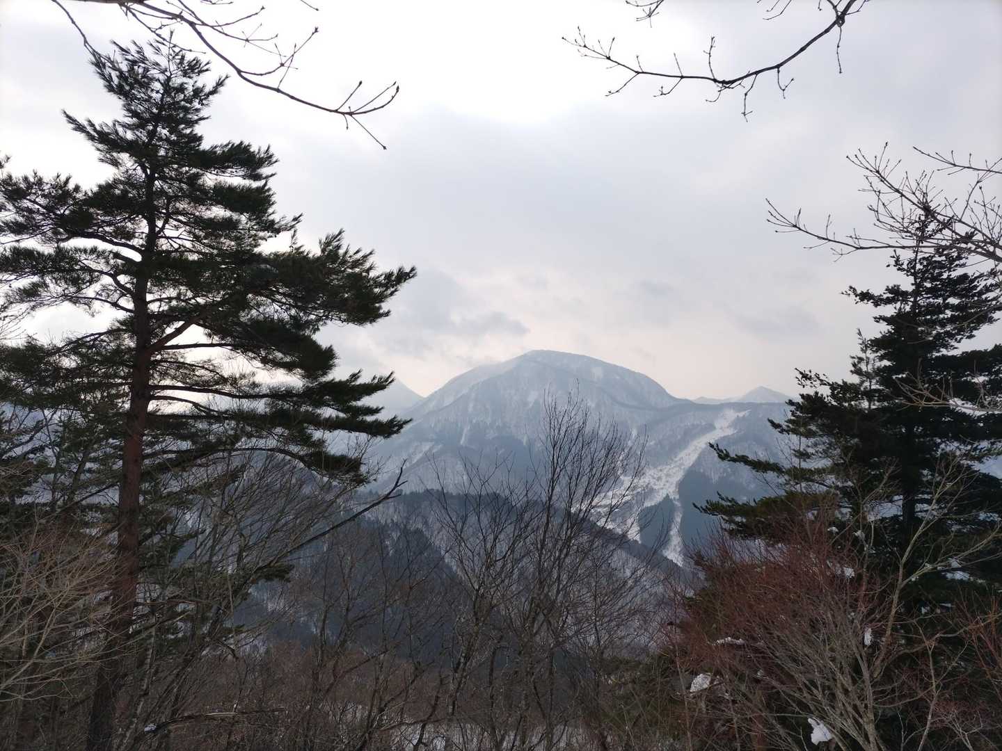 
南面白山がチラリ👀
