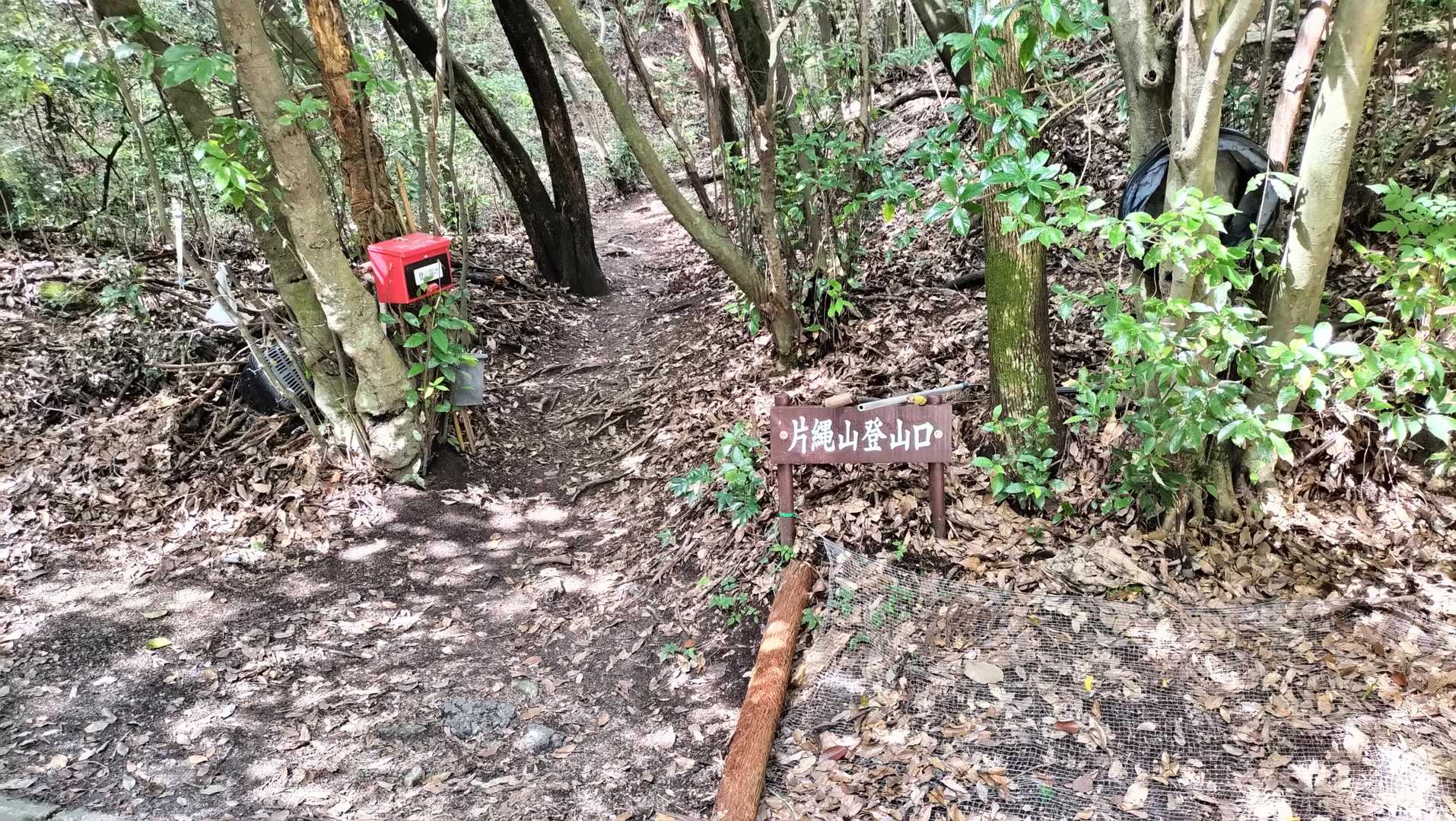 今日はここから登ります。お久しぶりです、よろしくお願いいたします。