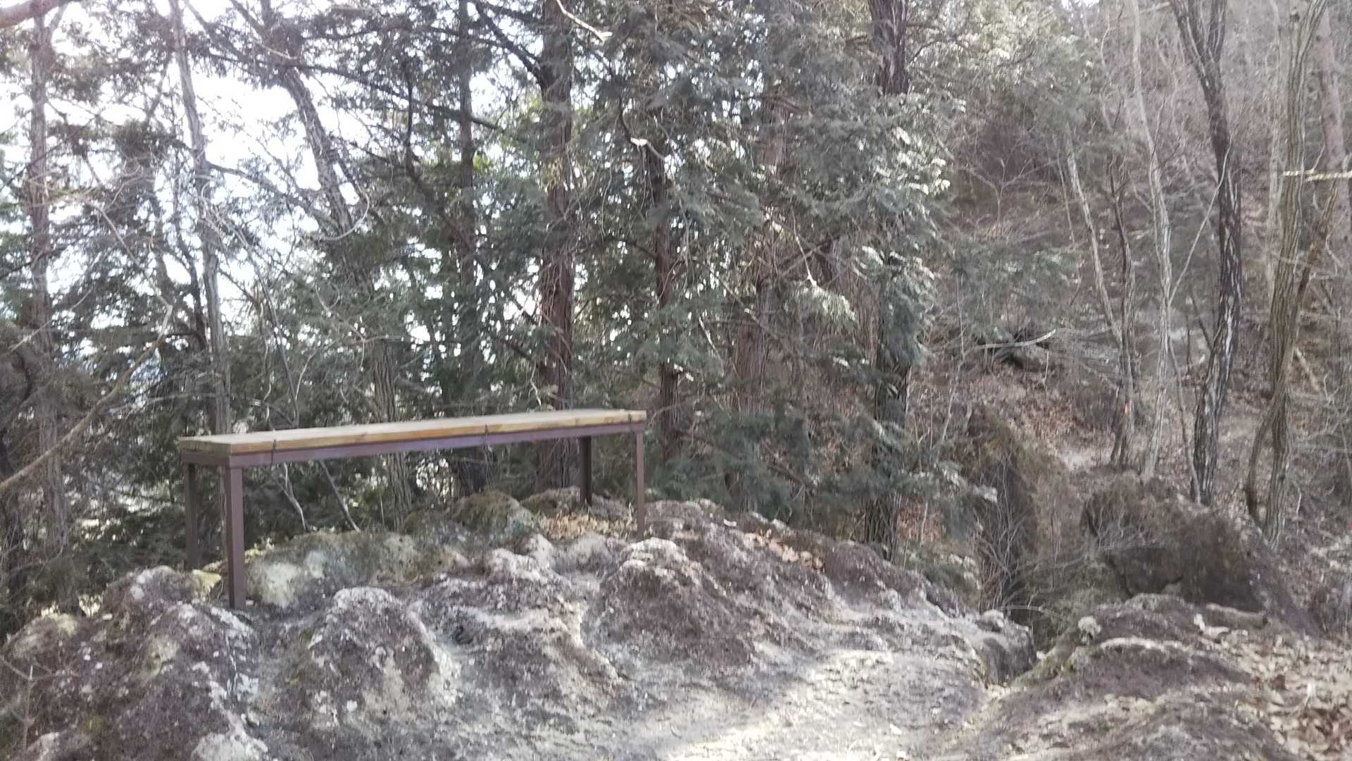 二回目のベンチ。