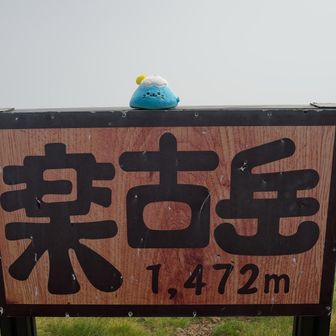 お山たんもニッコリ⊂( =＾ω＾= )⊃