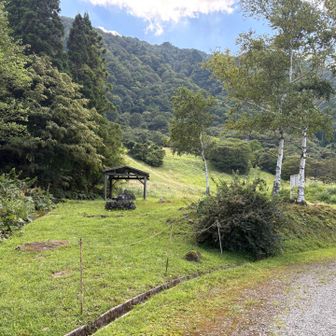 キャンプ場