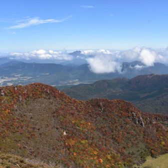 顔を出す由布岳カッコよし
存在感がハンパない✨