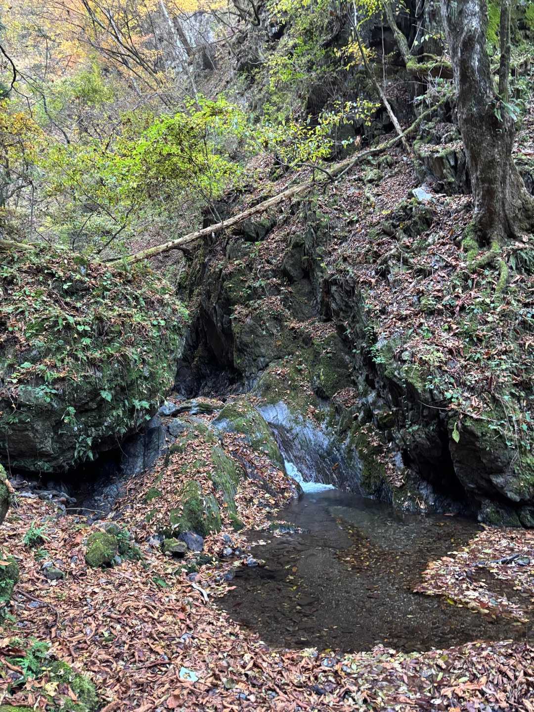 三段の滝・碧岩登山口-大岩 往復コースの写真
