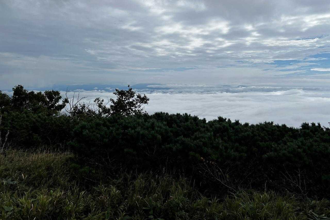 おっと、これはお天気好転の兆し？
と期待しちゃいます。