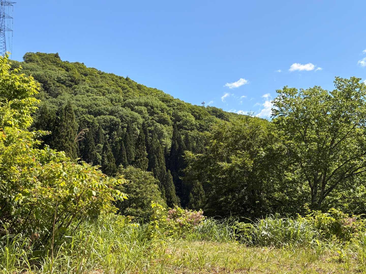 樽石山 往復コースの写真