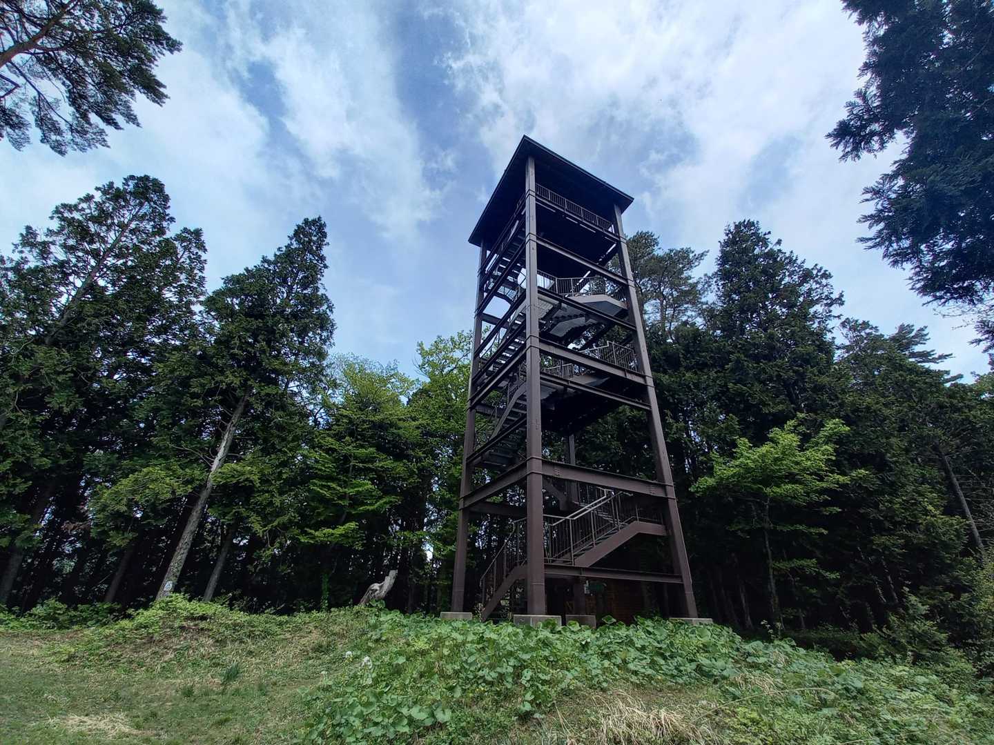 眺望山東口-オドリヒバ-眺望山-眺望山西口-眺望山中央口 周回コースの写真