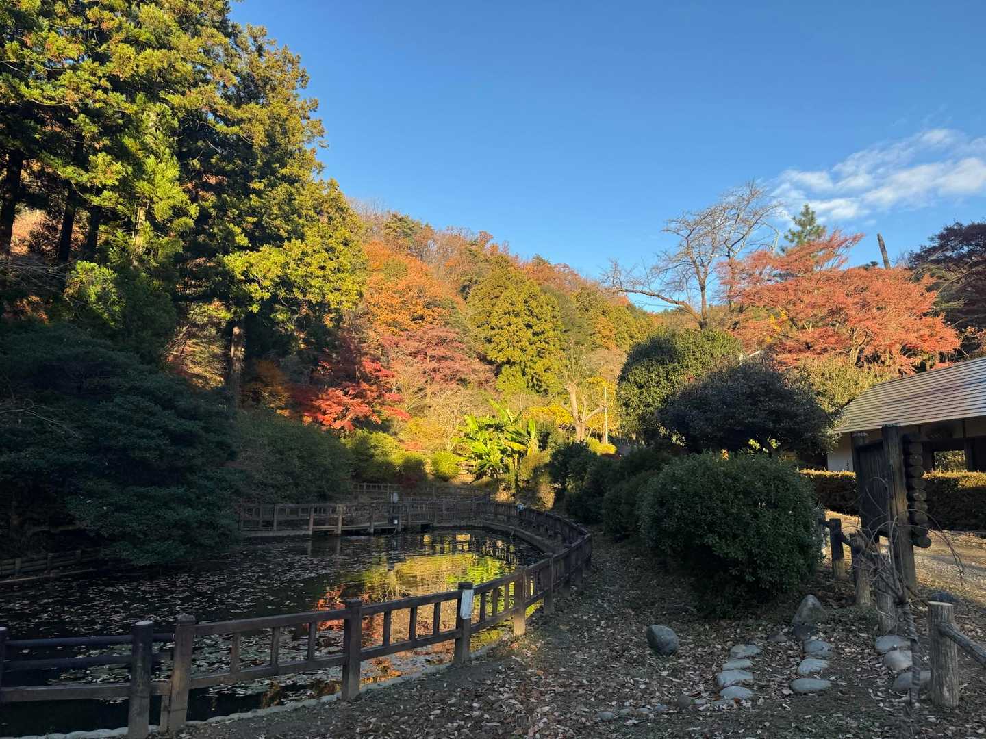 混雑嫌いなので、紅葉終盤まだいける。