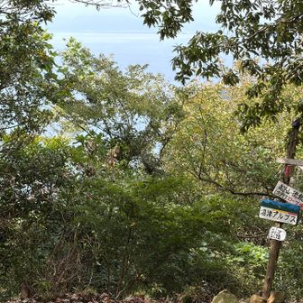 小鷲津