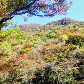 崩落地から黒岳
