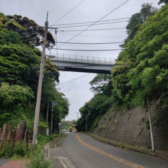 ここにも立派な陸橋がかかってるな。