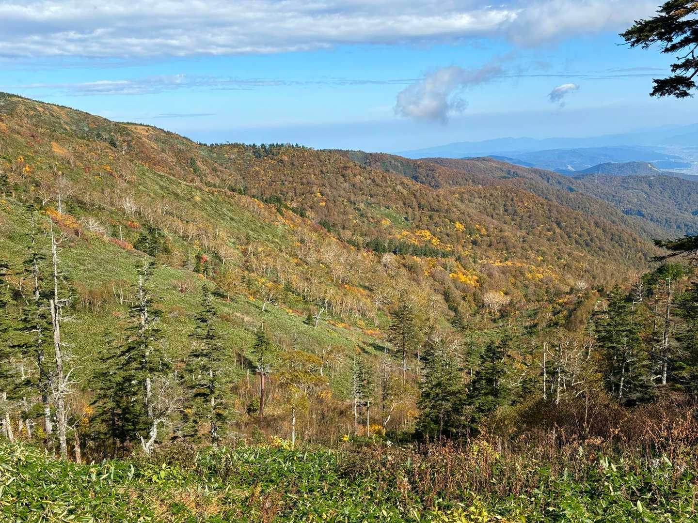 祓川登山口-神楽ヶ峰 往復コースの写真