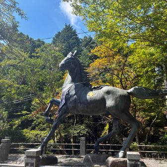 北極星を守る星として北斗七星と輔星と組み合わせた8体のお馬の石像があるらしい🐎