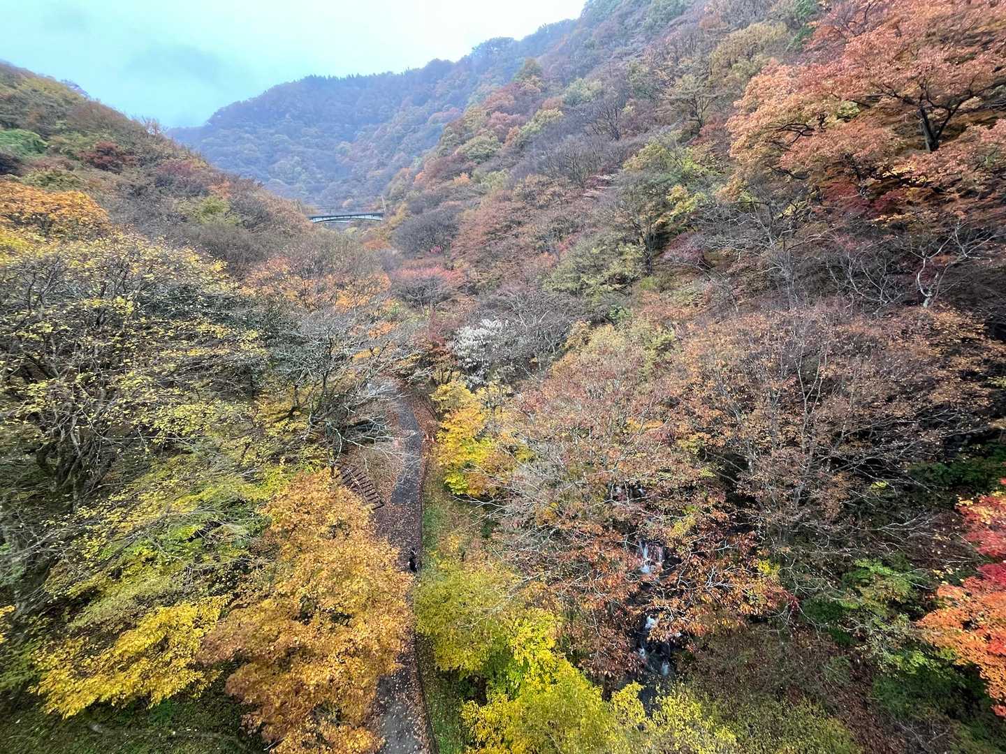 下を見ると道路があり、車で来れるんですねー