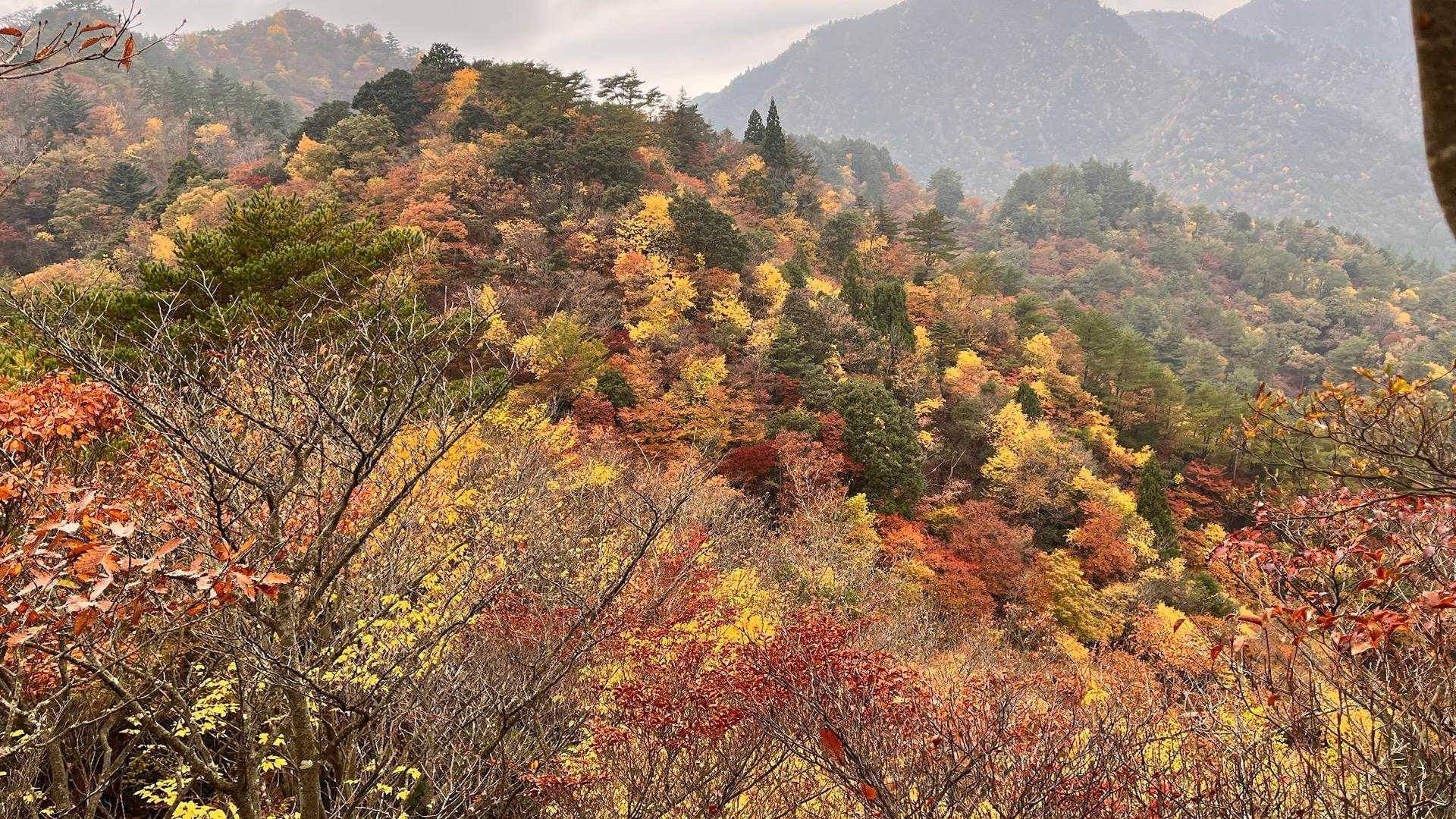 入道ヶ岳-椿大神社奥宮-水沢峠-鎌ヶ岳登山口 周回コースの写真