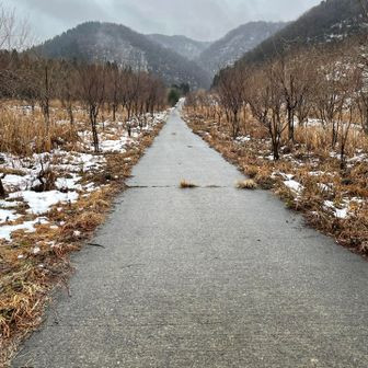 スキー場跡地だけあってアスファルトの直登💦