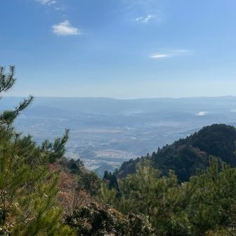 こちらも伊賀盆地見渡せます