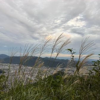 山頂着いた
