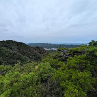 天気予報では朝から晴れ予報のはずだがずっとこんな感じ。