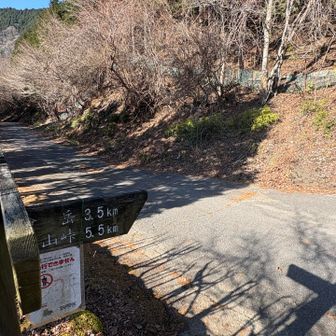 林道秦野峠です^ ^雨山峠方面へ