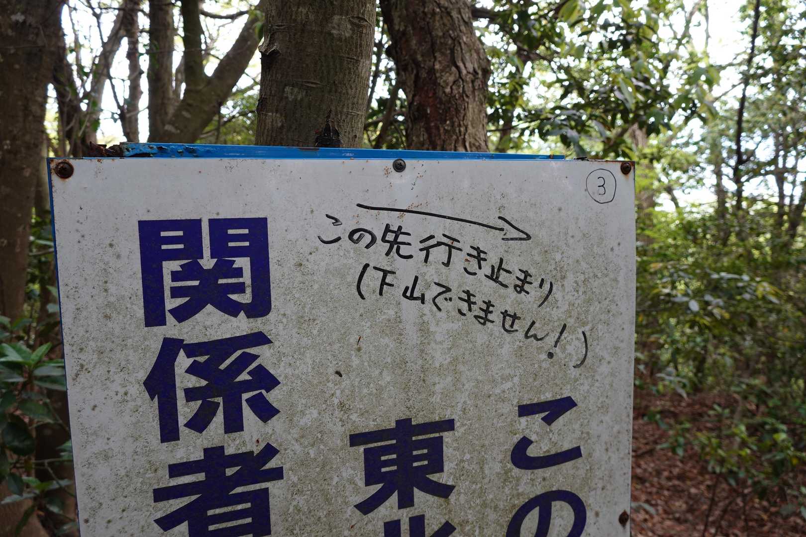 ほらね