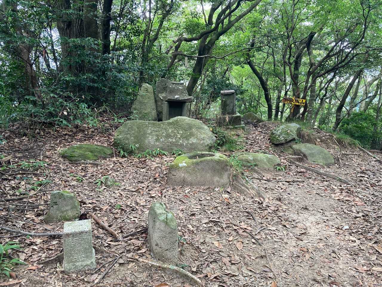 山頂に到着🎵