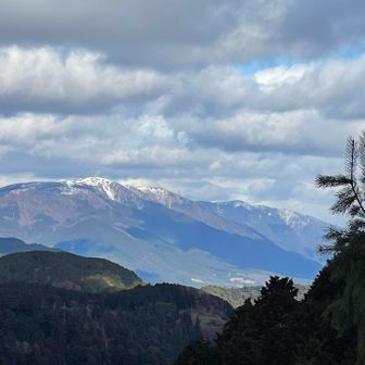 蓬莱山は雪被ってる。