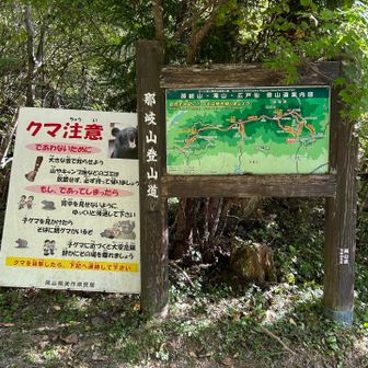 熊注意の看板🐻熊さんの邪魔をしないように、そっとおじゃまします😅