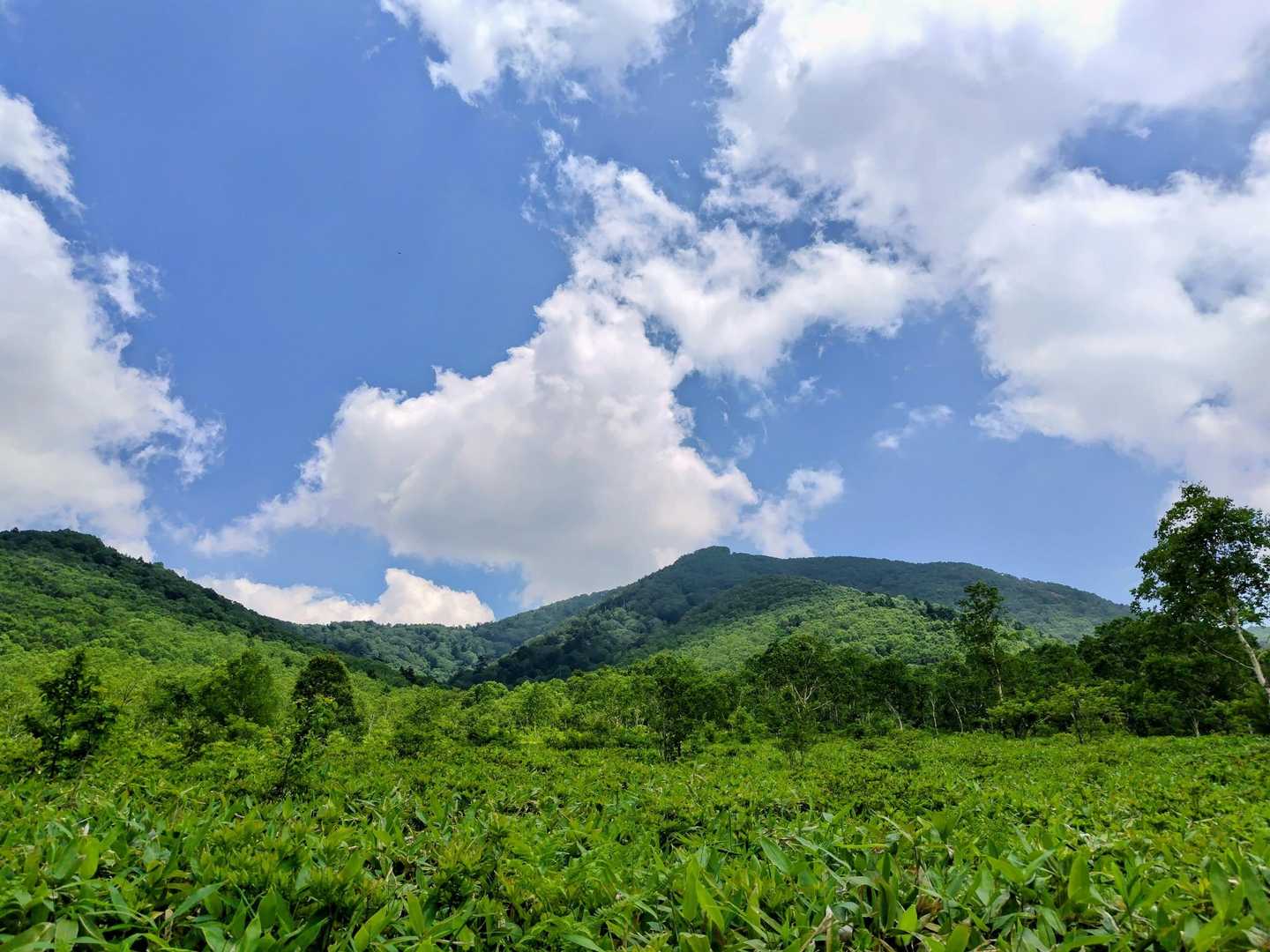 青空に白い雲・山々の緑💙🤍💚
暑いけど時折の涼やかな風に癒されて🚶