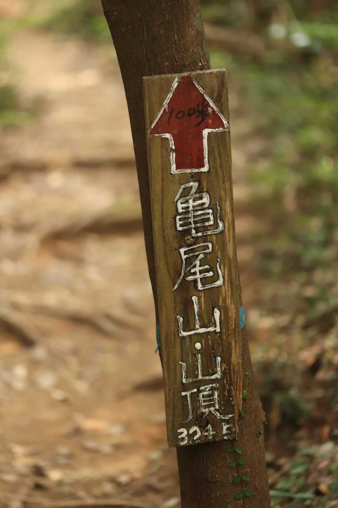 山頂まであと少し