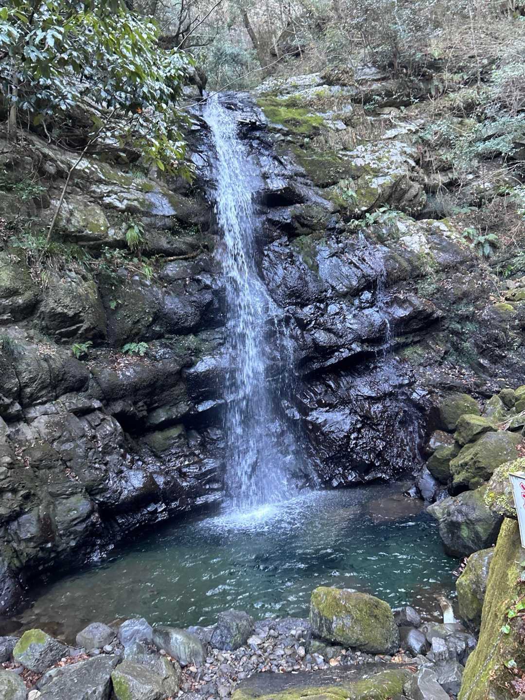 山のおもてなし｜和泉葛城山から犬鳴山へ紀泉高原縦走の写真