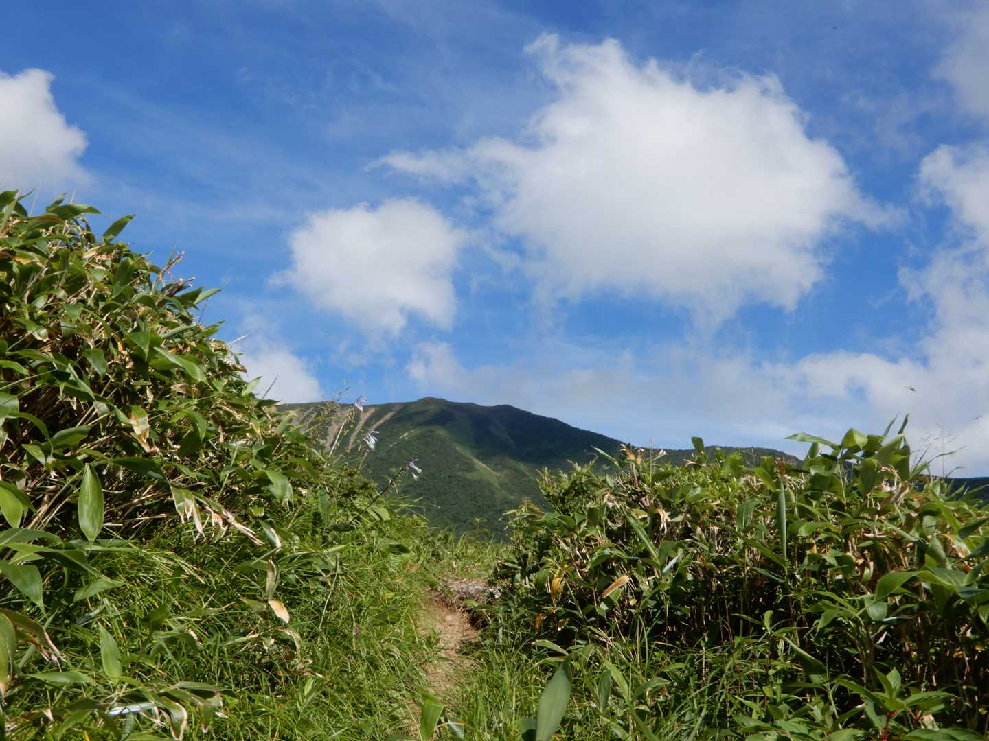 樹林帯に戻る前に小さくなった別山と青空。