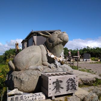 nao