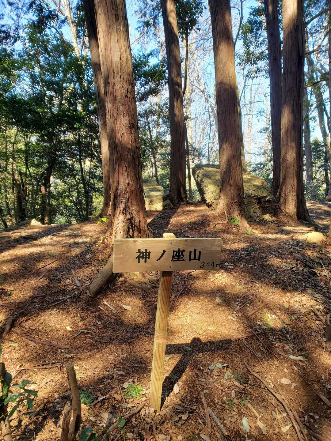 本日、最後の山頂。全く眺望ありません。ここから完全に下山体制です。