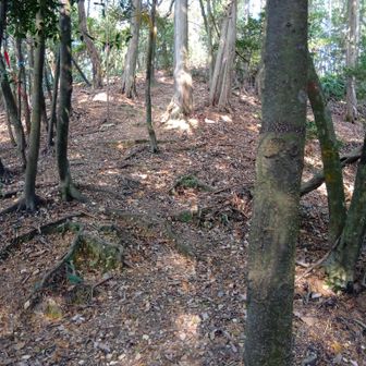 四辻
南へ行くと毘沙門堂..からの入山は確か禁止されて..