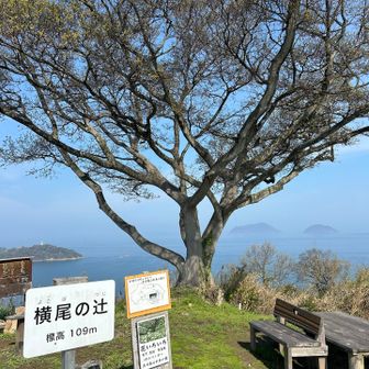 ちょっと霞んでるけど眺望良かったです😄