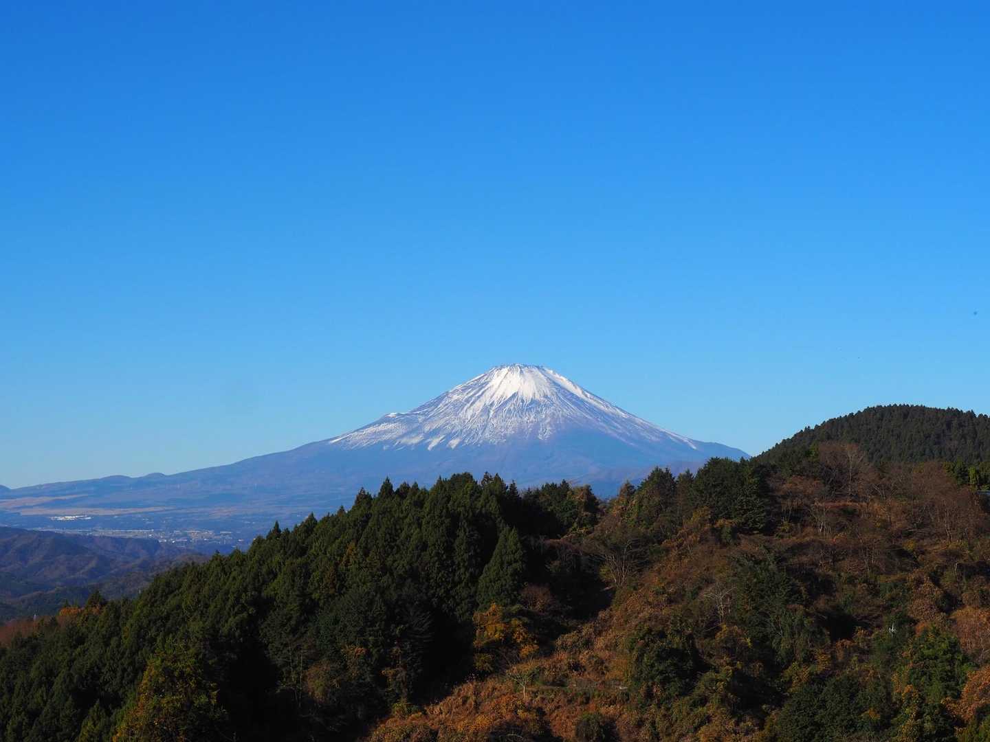 尺里峠-高松山 往復コースの写真